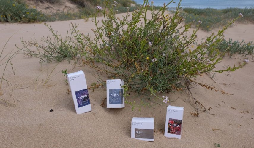 environmentally friendly CUBID CBD products sitting in the sand on a beach